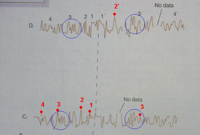 Figure 17.8