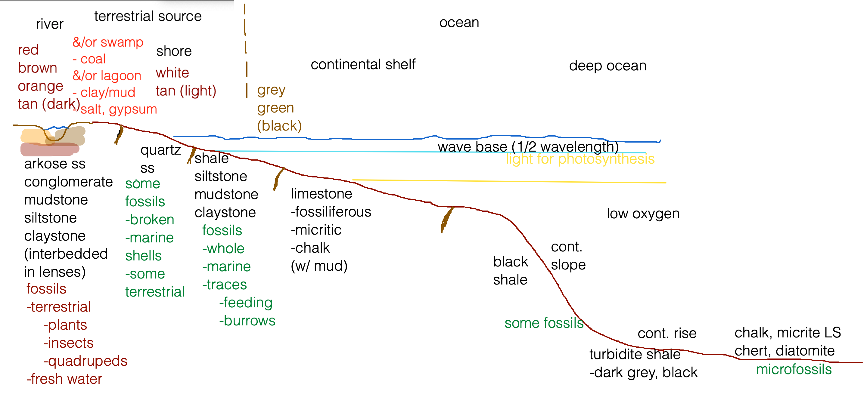 sedimentary environments associated with the continental shelf