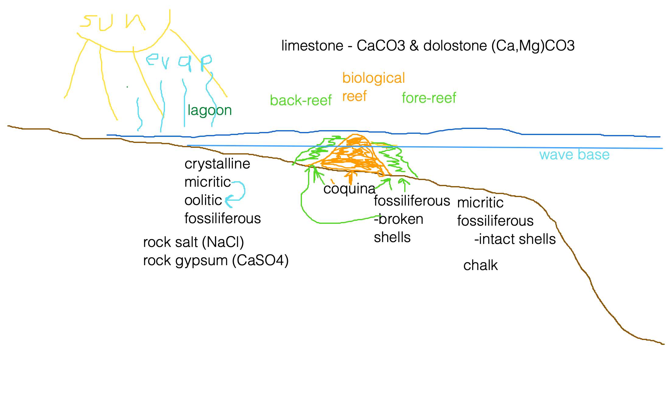 sedimentary environments associated with a tropical marine shelf